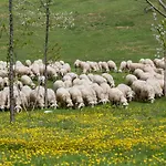 Fattoria Del Nonno Berto Farm stay Cortona