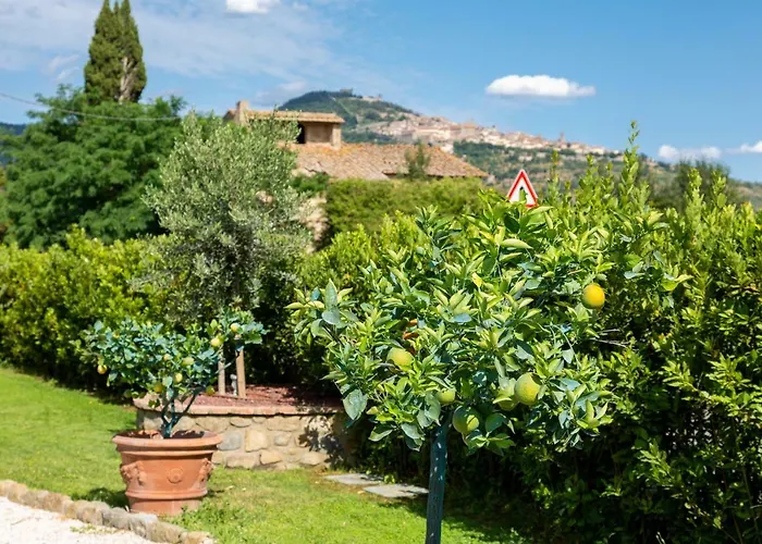 Fattoria Del Nonno Berto *