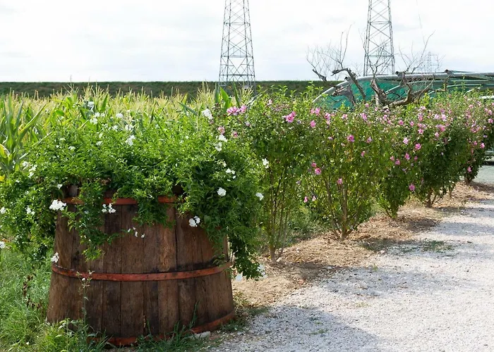 Fattoria Del Nonno Berto קורטונה