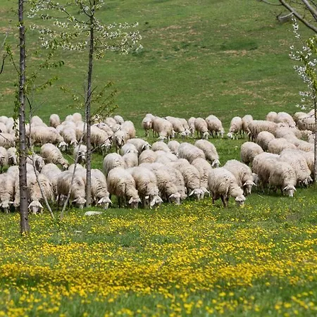 Séjour à la ferme Fattoria Del Nonno Berto *