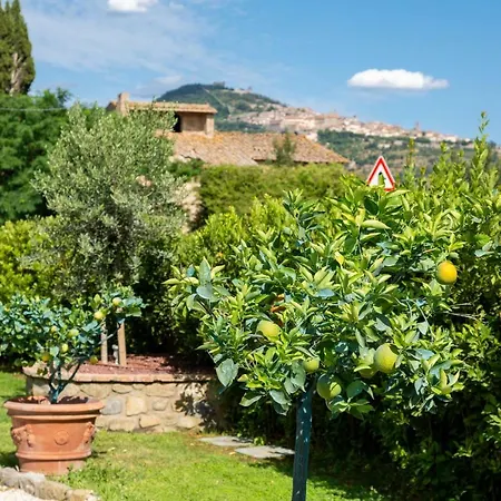 Fattoria Del Nonno Berto *