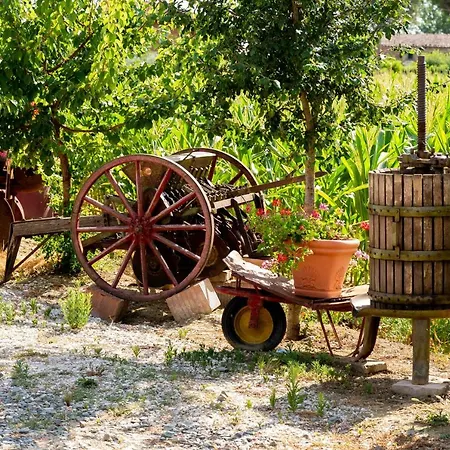 Fattoria Del Nonno Berto Çiftlik konaklama