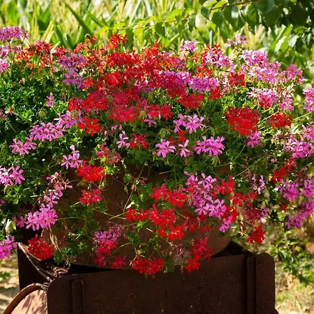 Fattoria Del Nonno Berto Farm stay