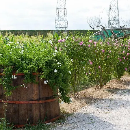 Fattoria Del Nonno Berto Cortona