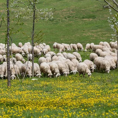 Fattoria Del Nonno Berto Farm stay Cortona