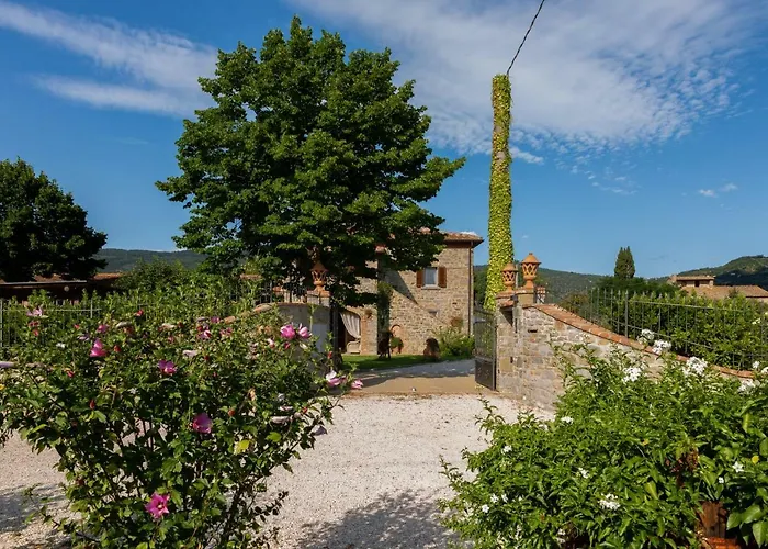 Fattoria Del Nonno Berto Lantgård Cortona