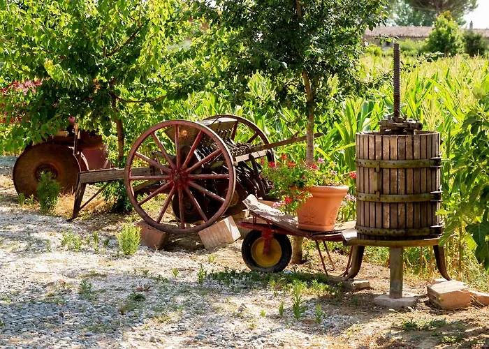 Fattoria Del Nonno Berto Çiftlik konaklama