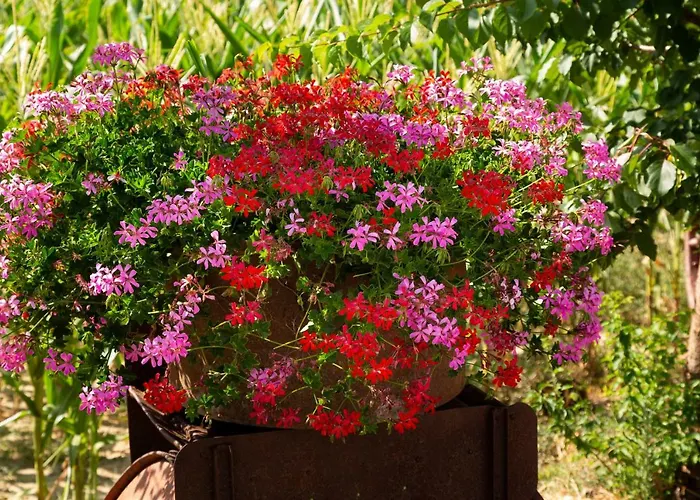 Fattoria Del Nonno Berto Farmház