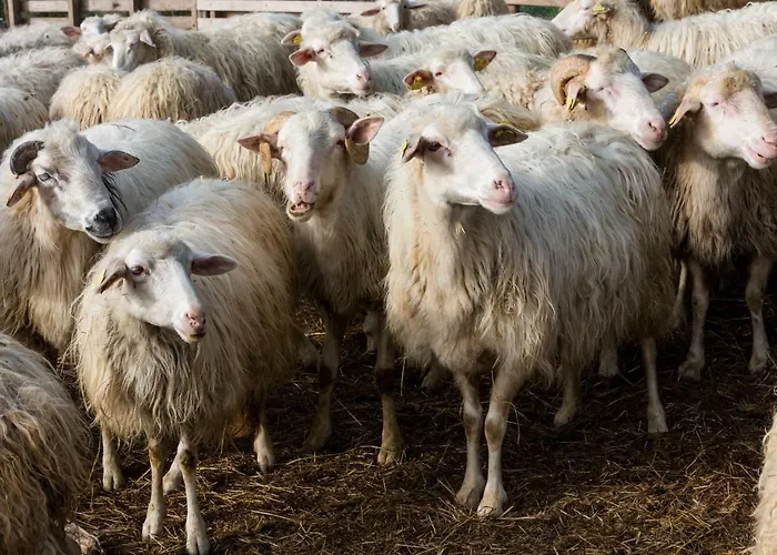 Farmház Fattoria Del Nonno Berto