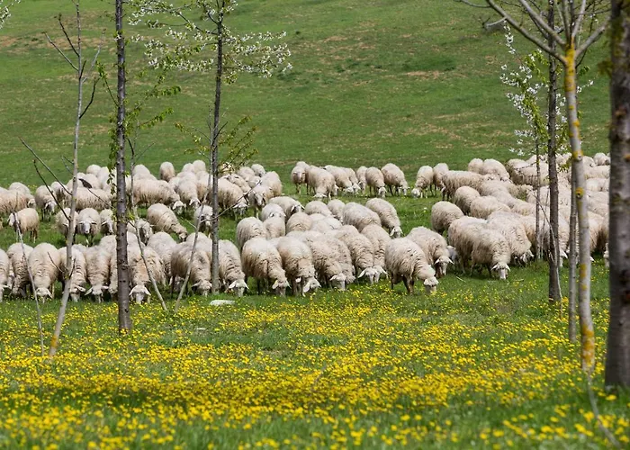 Fattoria Del Nonno Berto Lantgård Cortona